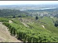 Discovering rhone valley cornas with jean luc colombo