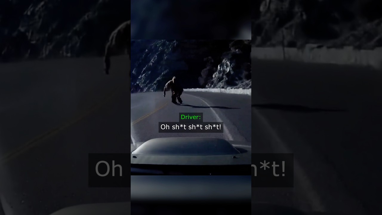 Driver Exited a Tunnel and Saw Something…
