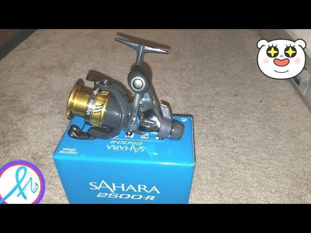 SHIMANO SAHARA 2500-R FIRST IMPRESSIONS 