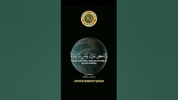 سورة الشورى الآية 27  تلاوة الشيخ عبد الباسط عبد الصمد