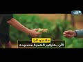 Sara S Farm TV Ad On Al Kahera Wal Nas 2