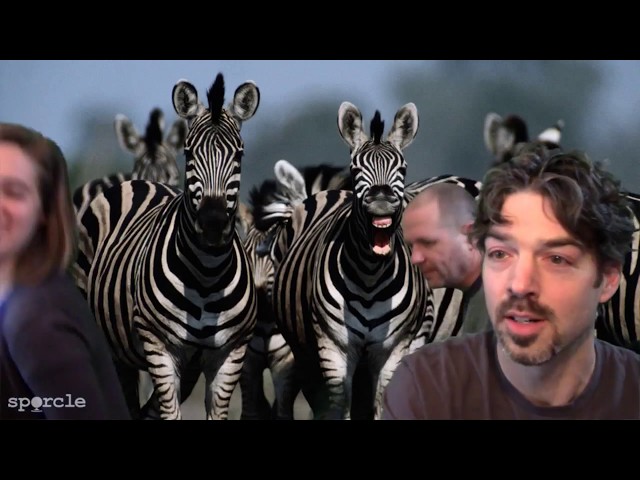 Matt and Derek's Quiz Lab: Animal Quizzes