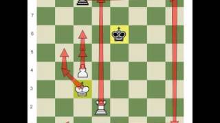 Rook Endgame's: Beginner to Master Part V