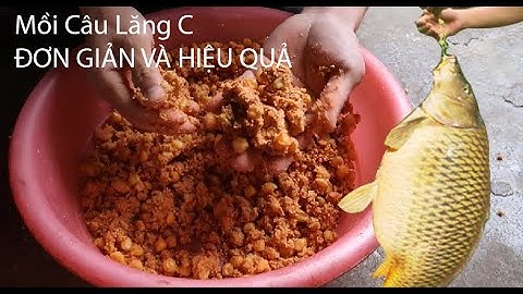 Cách Làm Mồi Câu Lăng C Hiệu Qủa Và Đơn Giản Nhất