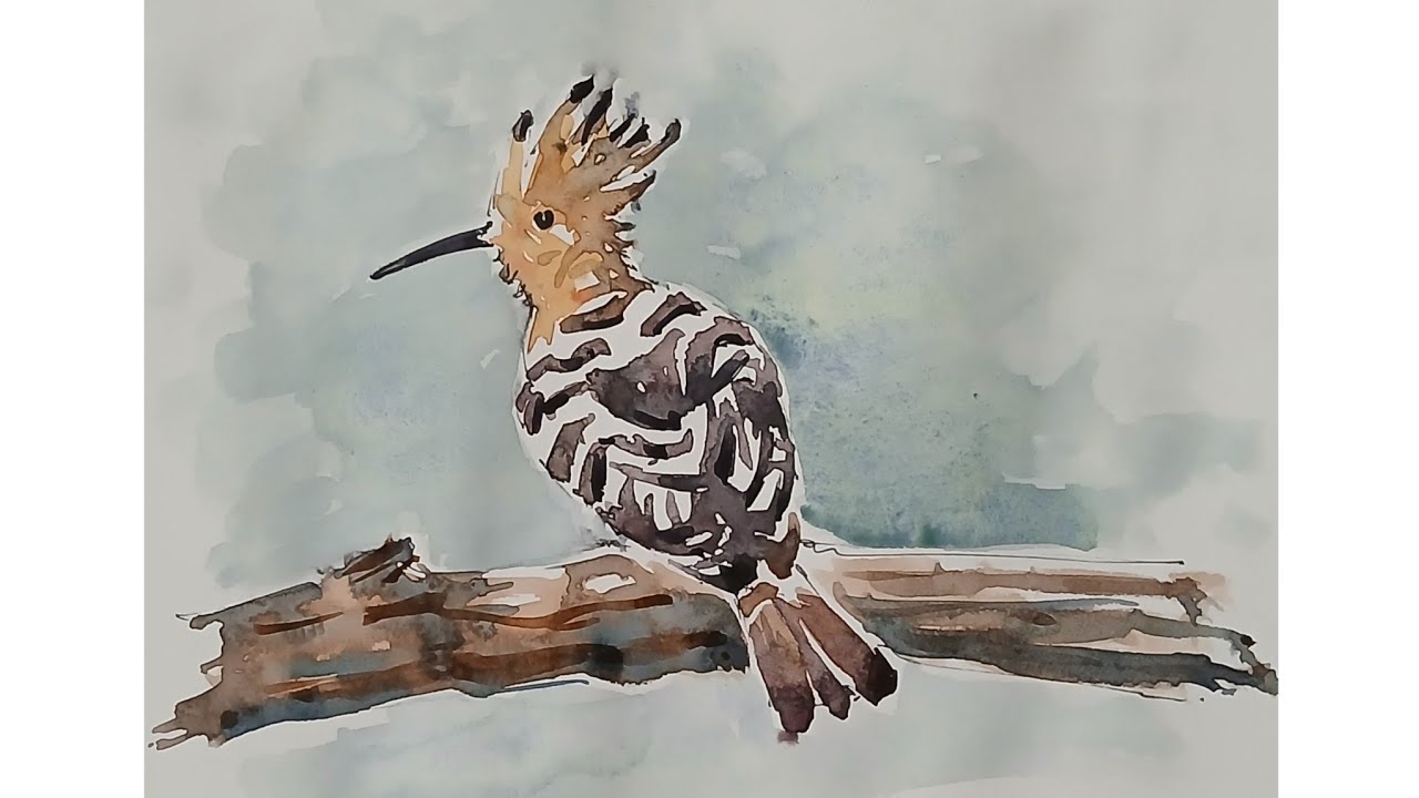 Easy beautiful bird drawing step by step | Bird drawing with watercolor | 