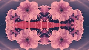 Parallel Construction - Lion Drome album preview track