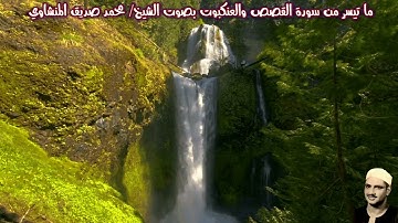 ما تيسر من سورة القصص والعنكبوت (صدى) بصوت الشيخ/ محمد صديق المنشاوي