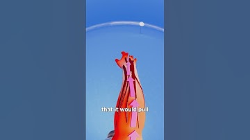 Can You Fly If You Spin Fast Enough? 🤔