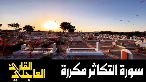 سورة التكاثر مكررة 3مرات/تلاوة خاشعه وهادئة/ بصوت القارئ العاجلي.