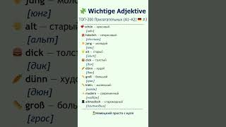 🇩🇪 Немецкие прилагательные A1–B1: внешность и описания 😍