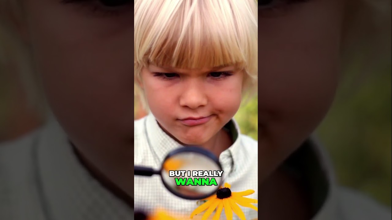 How to Migrate from GP to Business Central: What Moves Over?