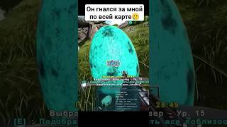 Легендарный видос на все времена