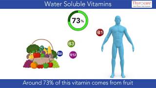 Water Soluble Vitamins - An overall nutrient window!