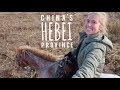 Hebei: Land of potatoes