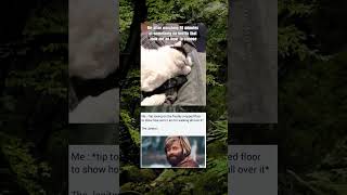Vote in comments: meme 1 or meme 2? #memes #shorts