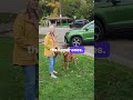 How to make ta dog behave calm indoor?