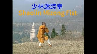 少林迷踪拳 China Shaolin Mizong Fist