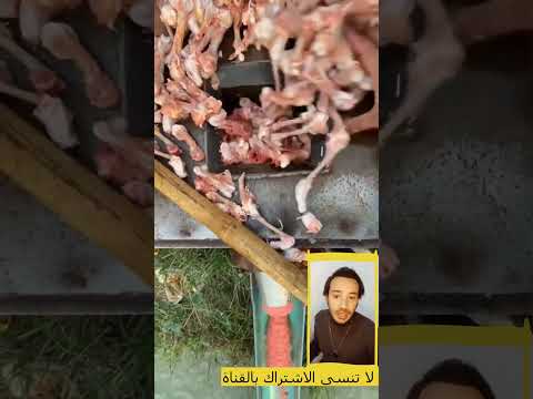 كارثة ازاى بيتعمل اللانشون واللحم المفرومة