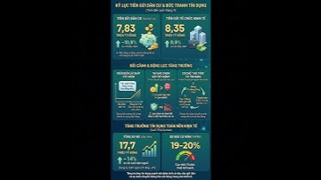 Kỷ lục tiền gửi: 💰 7,83 TRIỆU TỶ ĐỒNG DÂN CƯ GỬI NGÂN HÀNG! Vì sao con số này TĂNG VỌT?