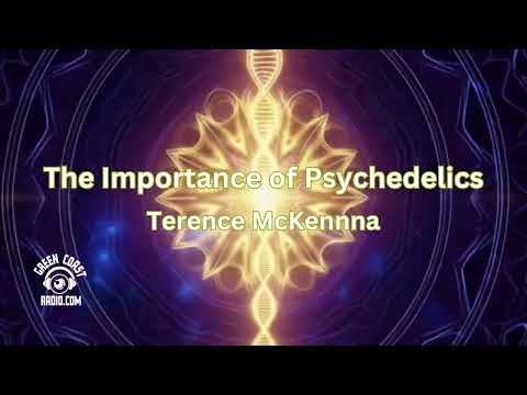 Terence McKenna Importance of Psychedelics
