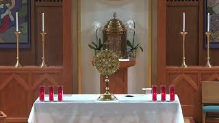 Jesus Didn't Abolish the Law: He Fulfilled It