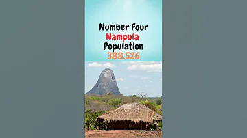 Top 5 Mozambique By Population 