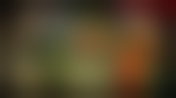 Tibia Dolera War Trailer Part 3