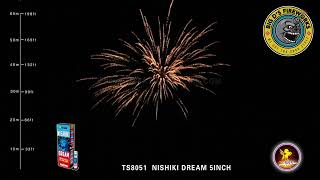 Nishiki Dream! 5 Inch 60 Gram Canister! by T Sky Fireworks