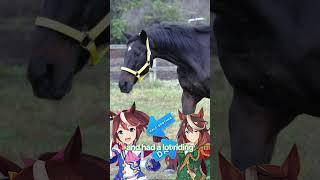 Play video: Tsurumaru Tsuyoshi in under 60 seconds.