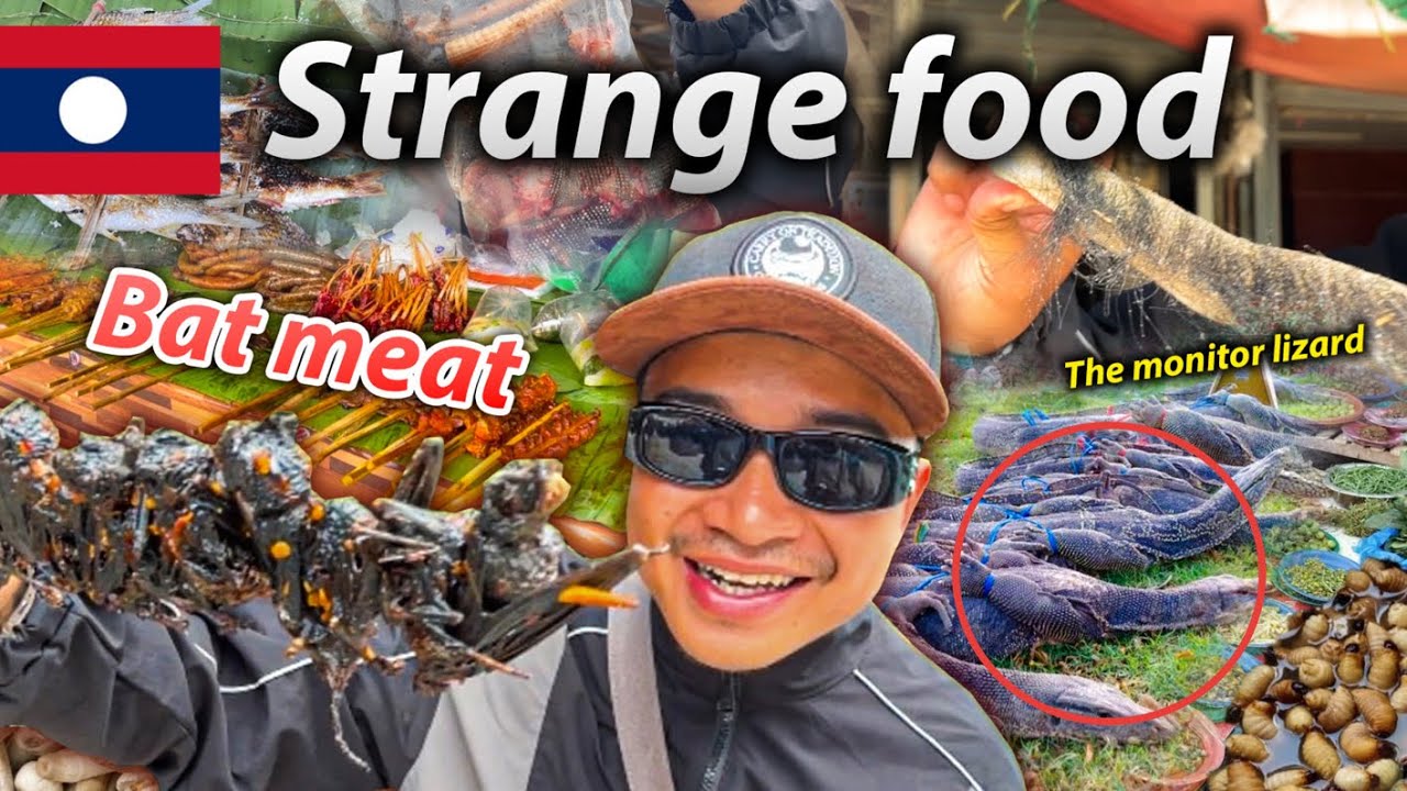🇱🇦 Ep 6. Lao markets have a lot of unusual food.
