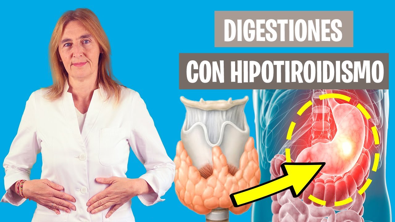 EFECTOS DIGESTIVOS del HIPOTIROIDISMO | Digestión alterada por hipotiroidismo | Nutrición clínica