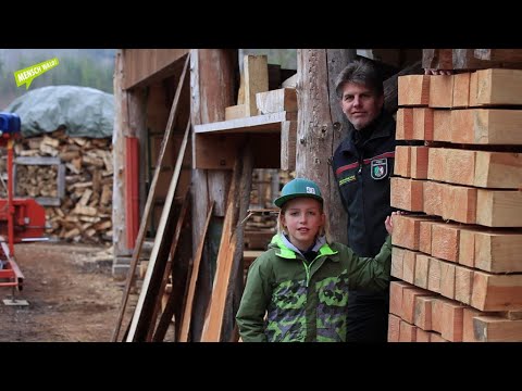 Im Wald (Folge