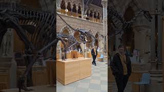 Oxford National History Museum 🦕