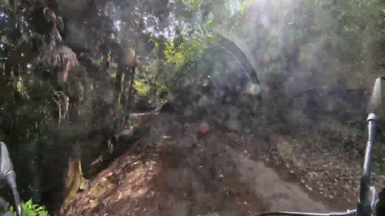 2025年04月13日 12時14分 別府大分県道41号豊後大野まで (3)