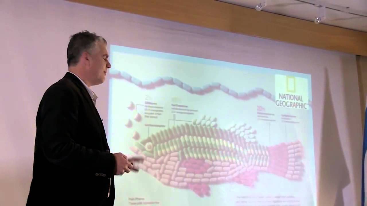 Launching ConnectIL   Big problems, small solutions 744Fj7pcGuQ