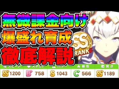 【ウマ娘】この編成盛れます！無微課金でも作れる強いクリスマスオグリキャップ育成論！アリエス杯向けに強力なスキルも取れる！垂れ馬回避　キラーチューン等【ウマ娘プリティダービー】