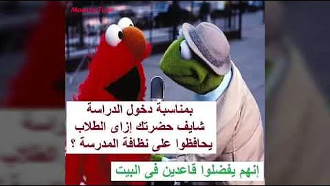 تحميل صور الضفدع الكيوت Mp4 Mp3