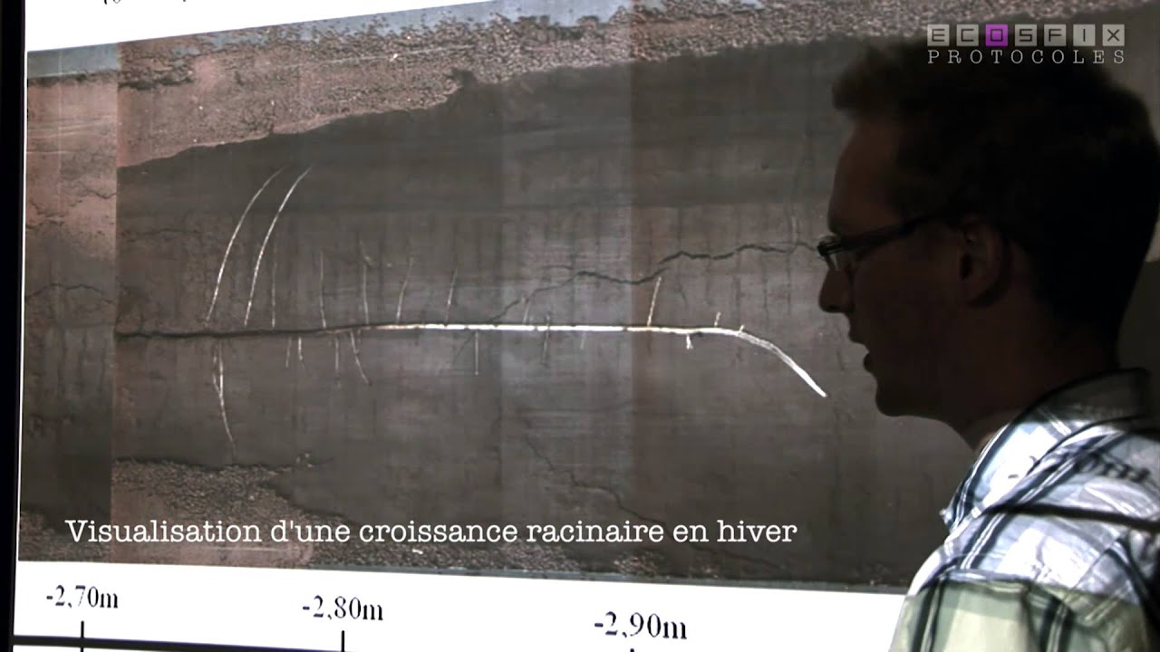 ECOSFIX - Estimer les flux de carbone dans les sols