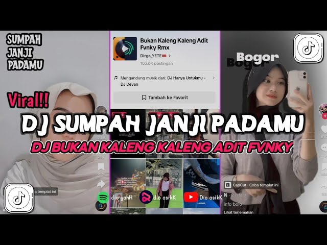 DJ SUMPAH JANJI PADAMU SLOW BASS VIRAL TIK TOK || DJ BUKAN KALENG KALENG SOUND ADIT FVNKY class=