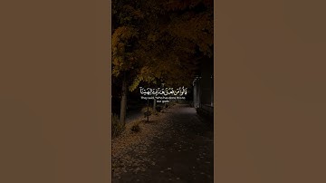 قالوا مَن فَعَلَ هذا بِآلِهَتِنا إِنَّهُ لَمِنَ الظّالِمينَ | ياسر الدوسري | سورة الأنبياء