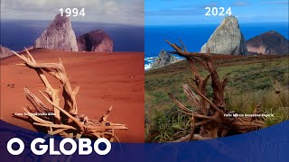 Ilha oceânica mais misteriosa do Brasil recupera parte da floresta após eliminar cabras