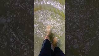 Prdanelan viral putusayung vlogab subscribe shorts trending youtubeshorts