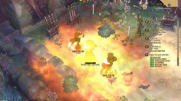 Tree Of Savior Zealot Class Skill 질럿 스킬