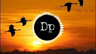 Xad - Birds | instrumental ringtone | dp world |