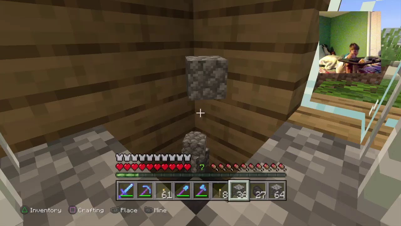 David R&b Minecraft minecraft with david - YouTube