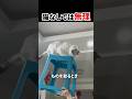 1家に1台ならぬ、1家に1猫 #猫のいる暮らし #猫動画 #癒し動画 #shorts