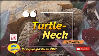 No Copyright Music 2021Turtleneck by TrackTribe screenshot 4