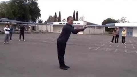 Thái Cực Chưởng 132 thức của Triệu Gia