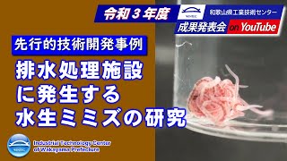 5 排水処理施設に発生する水生ミミズの研究