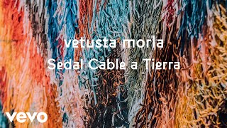 Vetusta Morla - Sedal Cable a Tierra (Directo Estadio Metropolitano)